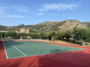 Petras House tennis experience in olives